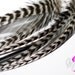 SALE Long Black White Silver Grizzly Striped Feather Earrings