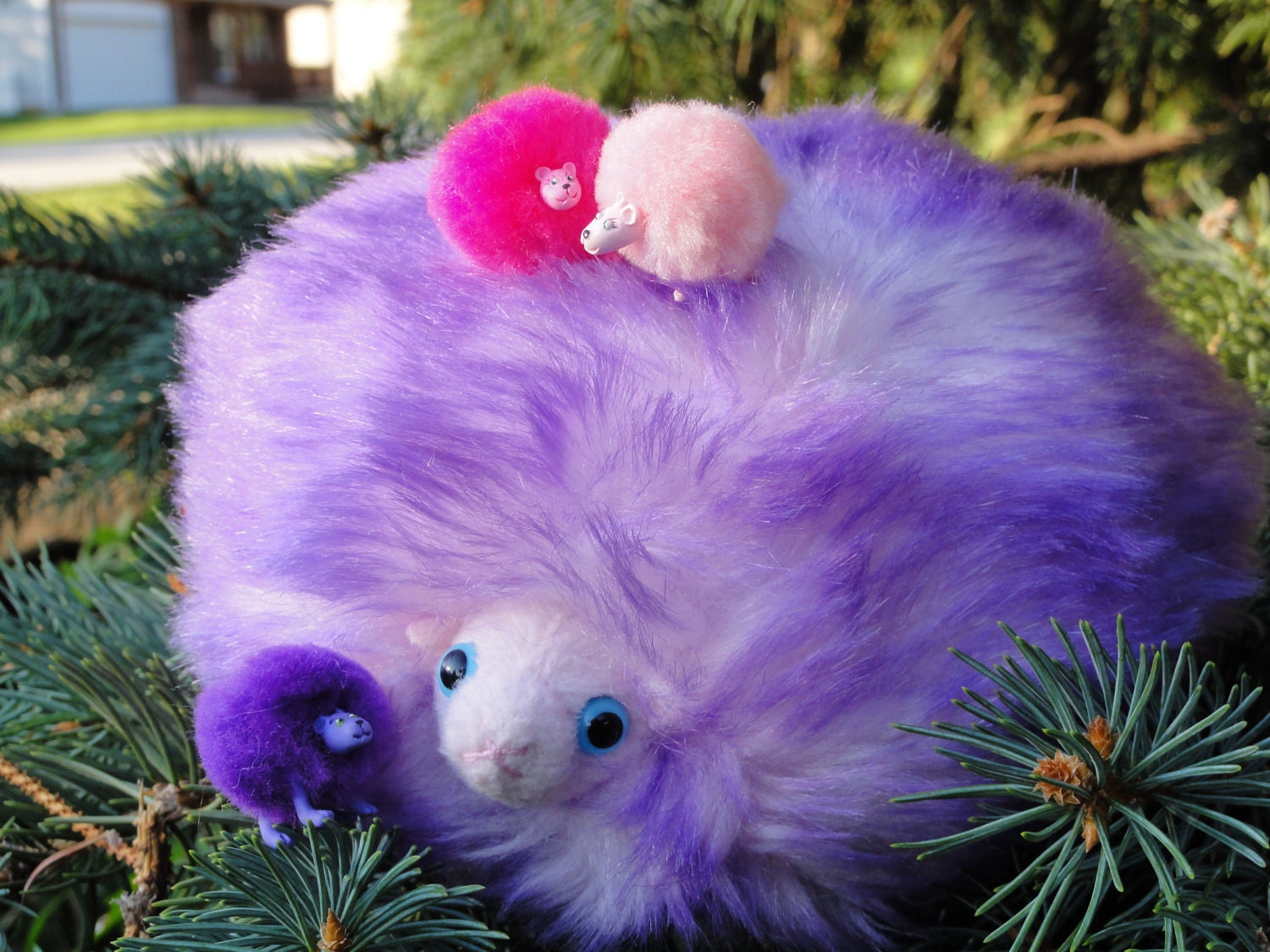 pygmy puff toy