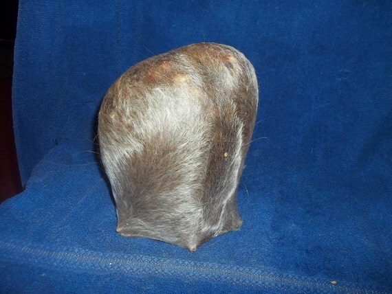 Real Bull Scrotum Bag Animal Part Nut Sack