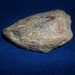 real animal bone Snapping turtle Head part