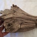 Real tree stump drift wood jewelry treasure wood box