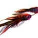 Long Single Feather Chain Earring "Royal Vixen" Red, Purple Grizzly, Magenta, Brown, Brass Spike Charm Accent, Ready to Ship