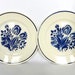 Two plates with blue flowers from France