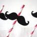 Set of 10 PINK Striped Mustache Straw Photo Props - Mustaches on PINK Striped Paper Straws