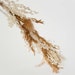 Natural Bridal Halo 'Golden Girl' Dried Floral Babys Breath Hiar Wreath Crown Ivory Cream Gold