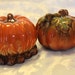 Pumpkin Salt and Pepper Shakers