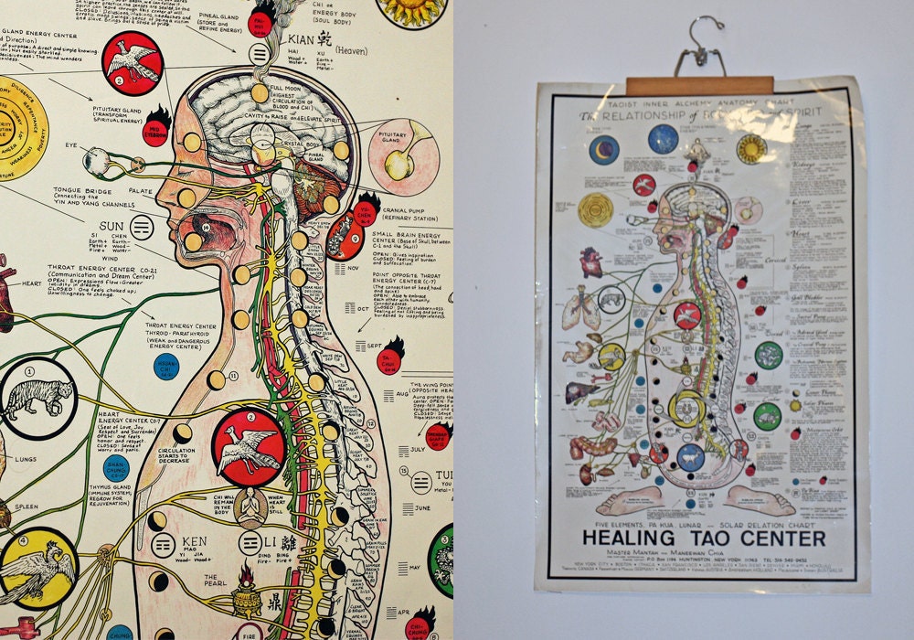 Vintage Taoist Inner Alchemy Healing Poster Anatomical Chart