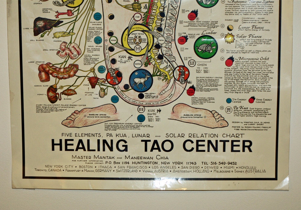 Vintage Taoist Inner Alchemy Healing Poster Anatomical Chart