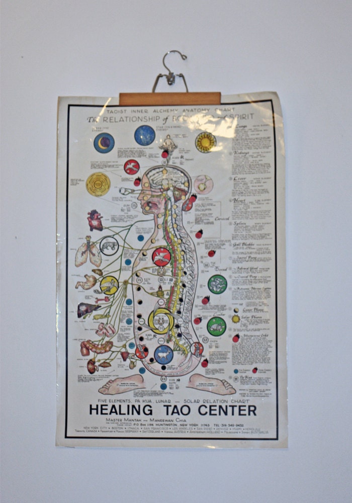 Vintage Taoist Inner Alchemy Healing Poster Anatomical Chart