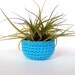 Turquoise Bowl with Montana Air Plant