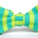 Lime and Turquoise Striped Bow Tie