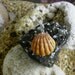Hawaiian Sunrise Shell Pendant- Sterling Silver