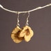 rare deformation wood earrings - juniper 18 - wooden jewelry with sterling silver
