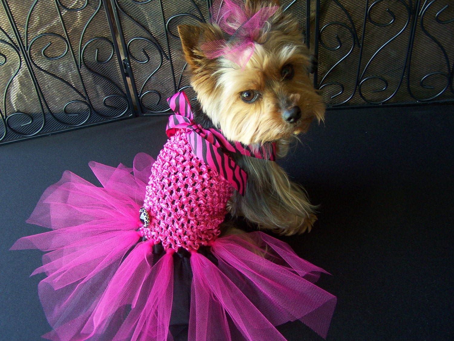 Dog TuTu Dress in hot pink and black Hair bow by Frillypaws