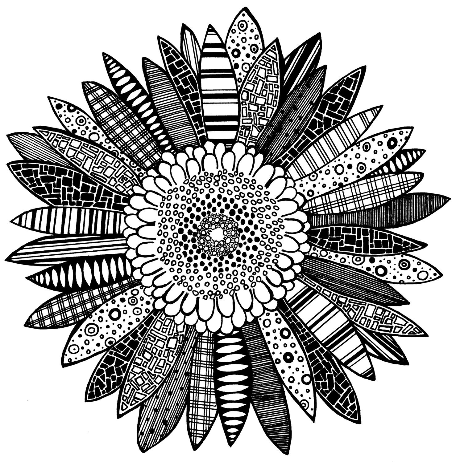 dongetrabi: Black And White Flowers Drawings Tumblr Images