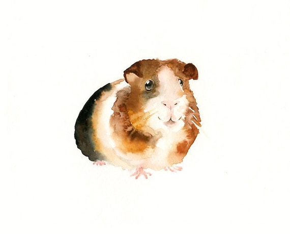 GUINEA PIG 7x5inch-Art Print-animal Watercolor Print-Giclee