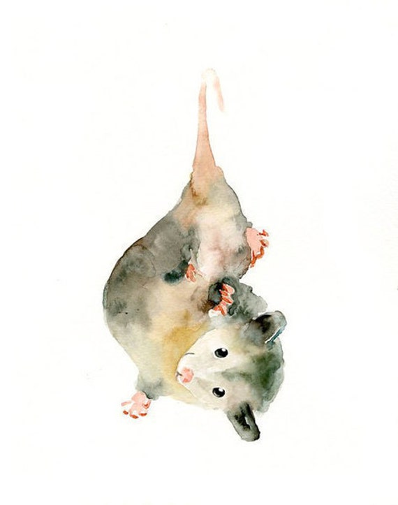 OPOSSUM 5x7 Print-Art Print-animal Watercolor Print-Giclee