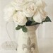 Blanc du Jardin- White Roses in Pitcher- French Cottage Chic- Beige- Neutrals- Flowers- Still Life Photography- 8x10 Fine Art Print