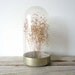 Large Glass Display Dome with Metal Base