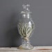 Tall Apothecary Jar