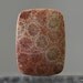 Sea Cabochon - Rustic Rose, Table Stone Natural Agatized Coral Cabochon, OOAK, AAA Quality, 40mm (CA195)