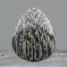 Black Palm Fossil, Natural Pertrified Wood Organic Specimen - 34mm (CA455)