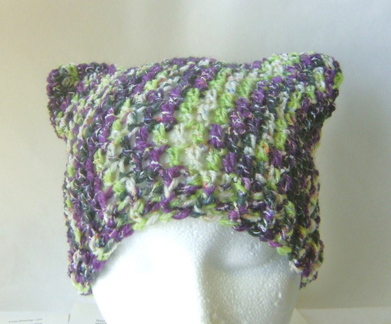 Crochet Beanie Hat Cat Ears Beanie in Purple and Green