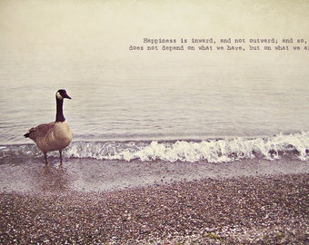 Geese Quotes Inspiring. QuotesGram