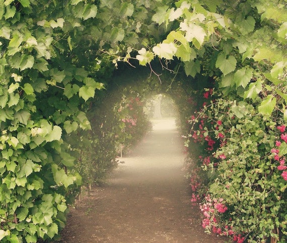 Items similar to Paris Gardens - Marie Antoinette's Rose ...