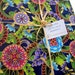 AMAZING 3 Ring Binder Fabric Covered Binder with ZIPPER 3 Inch