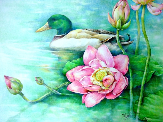Items similar to Lotus Flowers and a Duck, Origianal Colored Pencil