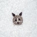 Warner cat pin