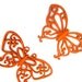 Butterfly Spring Orange Set