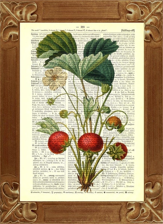 Vintage  Strawberries Print Botanical illustration  Upcycled Dictionary Page Recycled Book Art Upcycled Art Print Upcycled Book Print