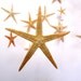 Reserved for Jennifer Eastlack-Sea Stars and Pearls mobile/hanging decoration/ocean,sea(baby-neutral-boy, girl)Wedding, party decoration