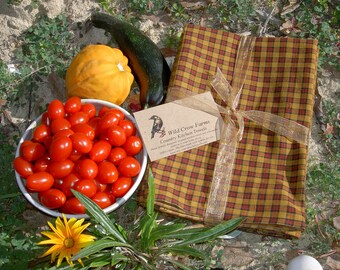 Primitive Mustard Yellow and Rustic Red Homespun Dish Towels ~ Set of 2