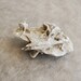 selenite desert rose cut piece