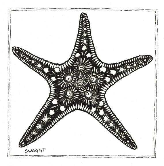 Print of Black and White Starfish Pen and Ink drawing