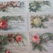 Six Small Victorian Trade Cards for Lion Soap with Floral Designs