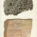 Antique Prints, 1950s Rocks and Minerals, beautiful wall art vintage coloured illustration rocks natural science