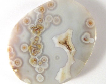 Ocean Jasper Medallion / Cabochon ETOJ114