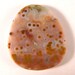 Luscious Ocean Jasper Medallion / Cabochon for wire wrap ETOJMed035