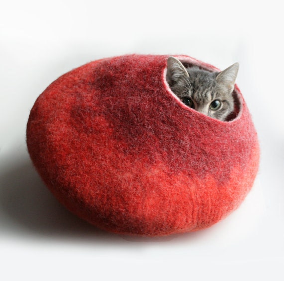 Cat Pods | cat pod Cat Pods | cat pod