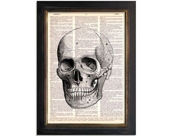 The Skull Anatomy Art Print on Vintage Dictionary Paper