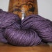 SW Merino/Silk/Nylon "Just Plum Good" 100 g/430 yards Sock Yarn