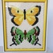 Vintage Embroidered Butterfly Art - 70's