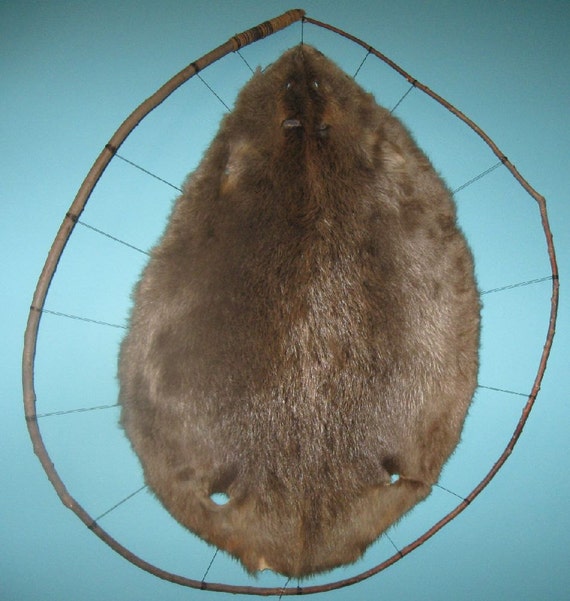 Items similar to Medium Tanned Beaver and WillowHoop Wall Mount on Etsy