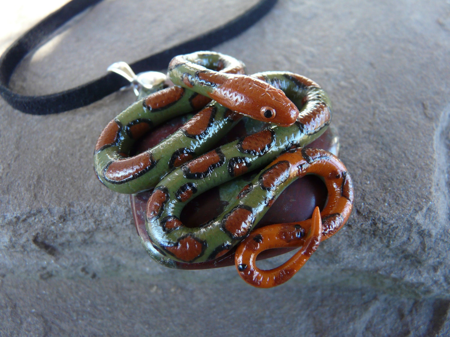 Hundred Flower Rat Snake / Mollendorf's Ratsnake on Dragon