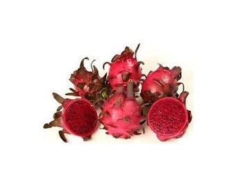 15 Dragon Fruit Seed-1214