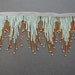 Seafoam Green and Gold Glass Bead Fringe